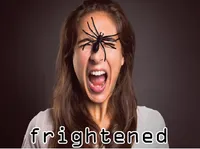 Definition & pronunciation of frightened
