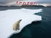 Definition & pronunciation of frozen