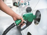 Definition & pronunciation of fuel