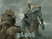 Definition & pronunciation of giant