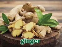 Definition & pronunciation of ginger