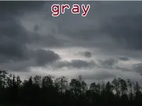 Definition & pronunciation of gray