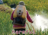 Definition & pronunciation of harmful