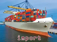 Definition & pronunciation of import