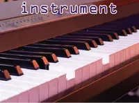 Definition & pronunciation of instrument