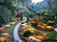 Definition & pronunciation of landscape