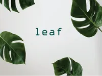 Definition & pronunciation of leaf