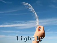 Definition & pronunciation of lightly