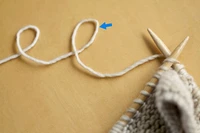 Definition & pronunciation of loop