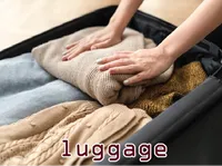 Definition & pronunciation of luggage