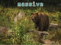 Definition & pronunciation of massive