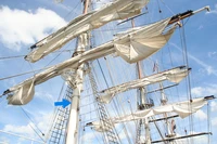 Definition & pronunciation of mast