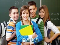 Definition & pronunciation of mate