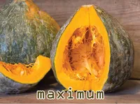 Definition & pronunciation of maximum