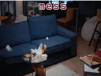 Definition & pronunciation of mess