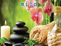 Definition & pronunciation of mild