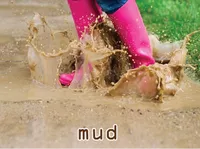 Definition & pronunciation of mud