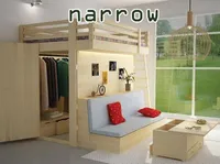 Definition & pronunciation of narrow
