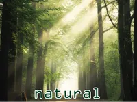 Definition & pronunciation of natural