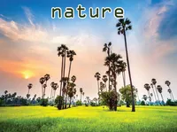 Definition & pronunciation of nature