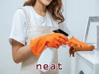 Definition & pronunciation of neat