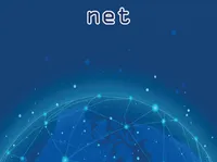 Definition & pronunciation of net