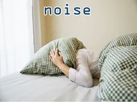 Definition & pronunciation of noise