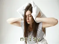 Definition & pronunciation of noisy