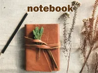Definition & pronunciation of notebook