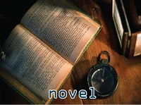 Definition & pronunciation of novel