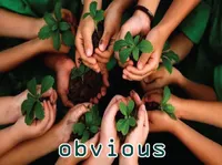 Definition & pronunciation of obvious