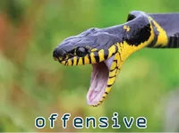 Definition & pronunciation of offensive