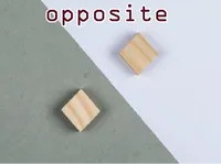 Definition & pronunciation of opposite