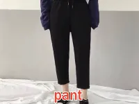 Definition & pronunciation of pant