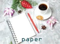 Definition & pronunciation of paper