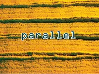 Definition & pronunciation of parallel