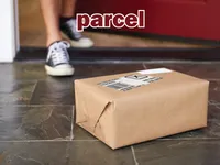 Definition & pronunciation of parcel