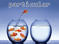 Definition & pronunciation of particular