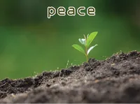 Definition & pronunciation of peace