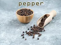 Definition & pronunciation of pepper