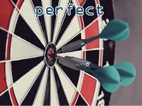 Definition & pronunciation of perfect