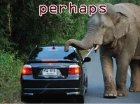 Definition & pronunciation of perhaps