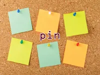 Definition & pronunciation of pin