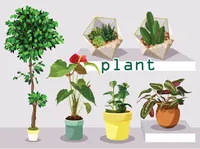 Definition & pronunciation of plant