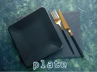 Definition & pronunciation of plate