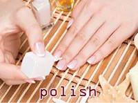 Definition & pronunciation of polish