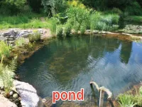 Definition & pronunciation of pond