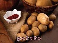 Definition & pronunciation of potato