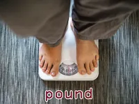Definition & pronunciation of pound