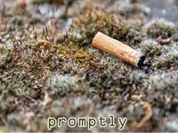 Definition & pronunciation of promptly